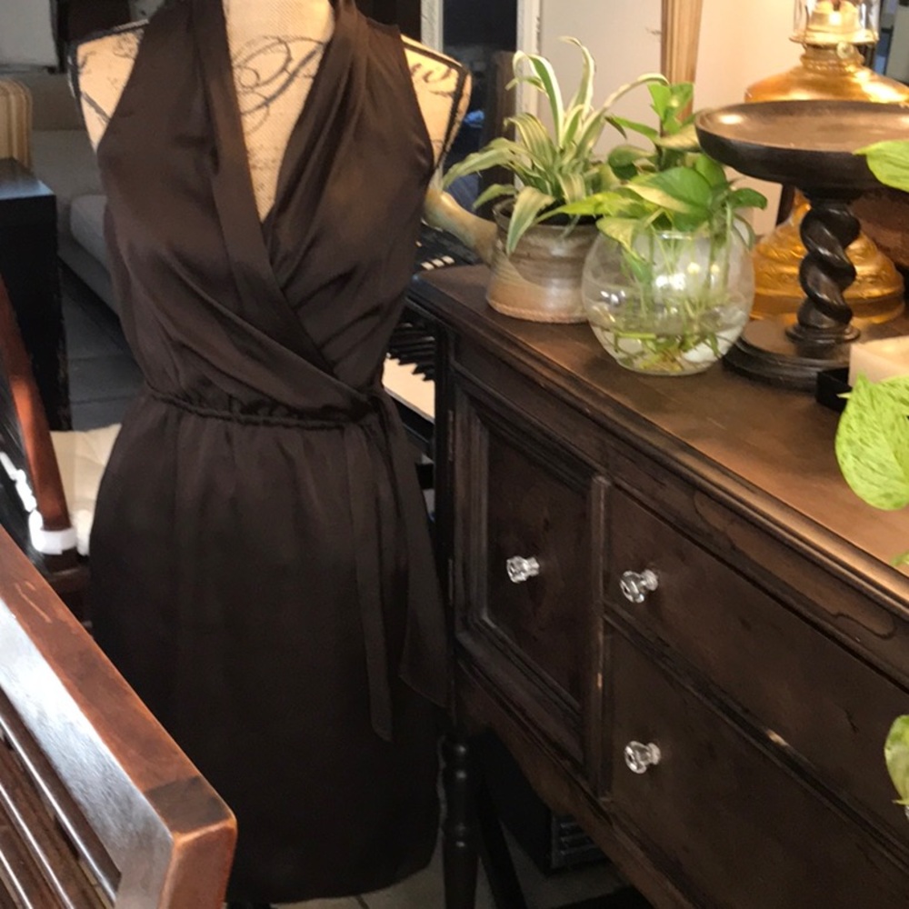 The Limited Silk Dress